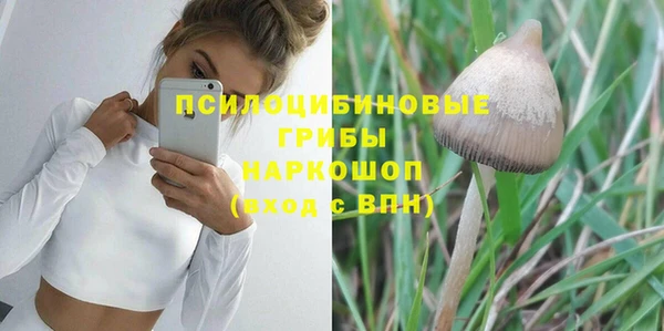 спиды Армянск