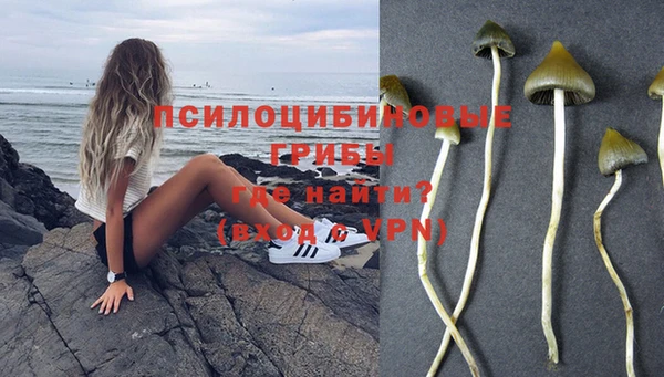 спиды Аркадак