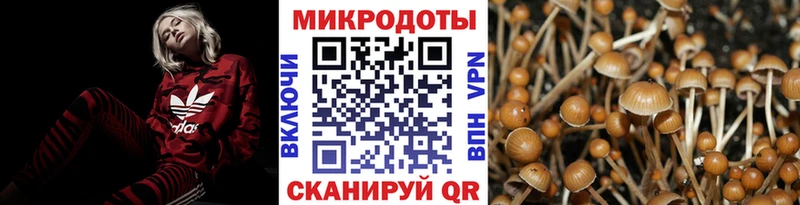 МЕГА как войти  Миньяр  Псилоцибиновые грибы ЛСД 